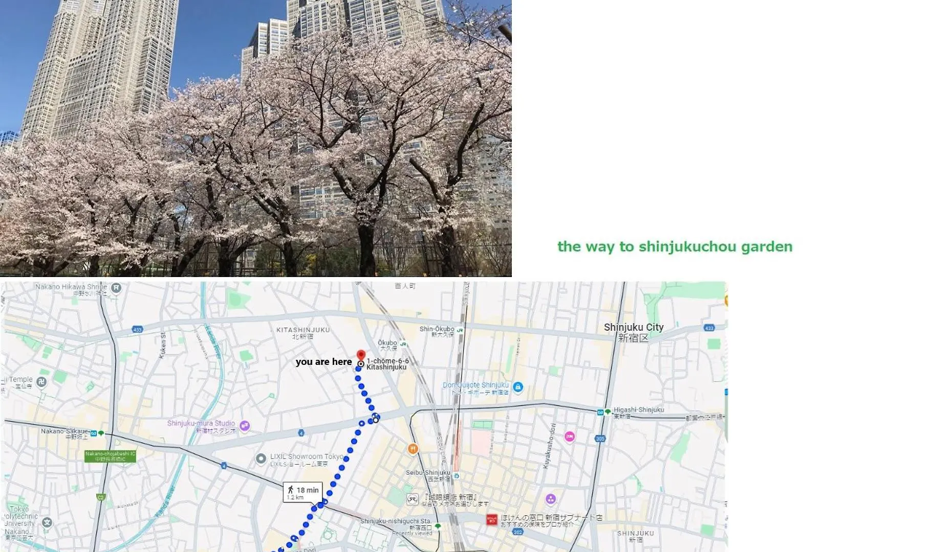 Apartment 大久保駅から４分、貸切、韓国ダウン至近、新宿/歌舞伎町に徒歩圏内 、단독사용민박 Tokyo